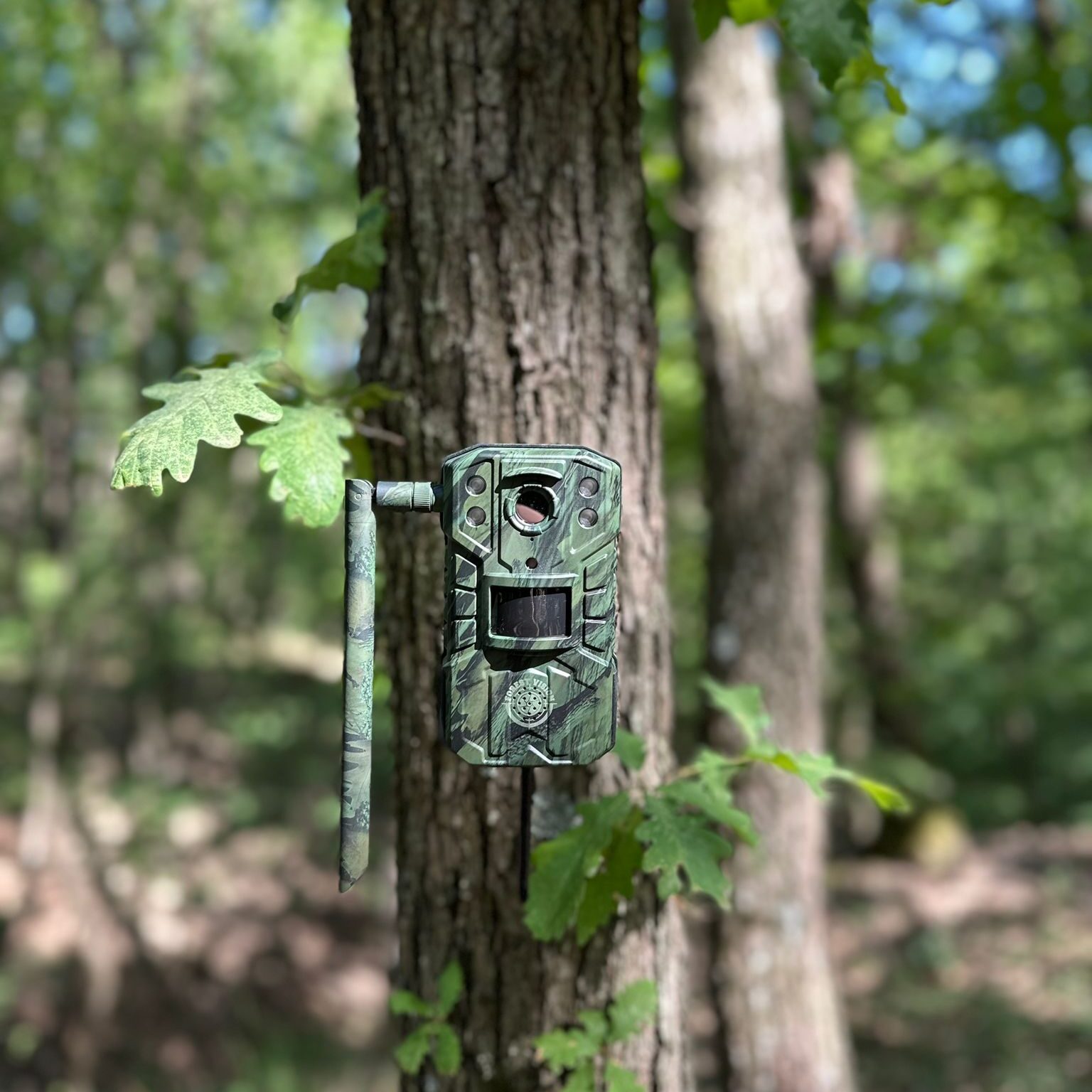 Camera Vanatoare ForestVision C1