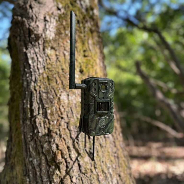 Camera Vanatoare ForestVision C1