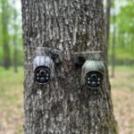 Camera Vanatoare ForestVision C2