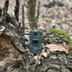 camera vanatoare ForestVision Live C1