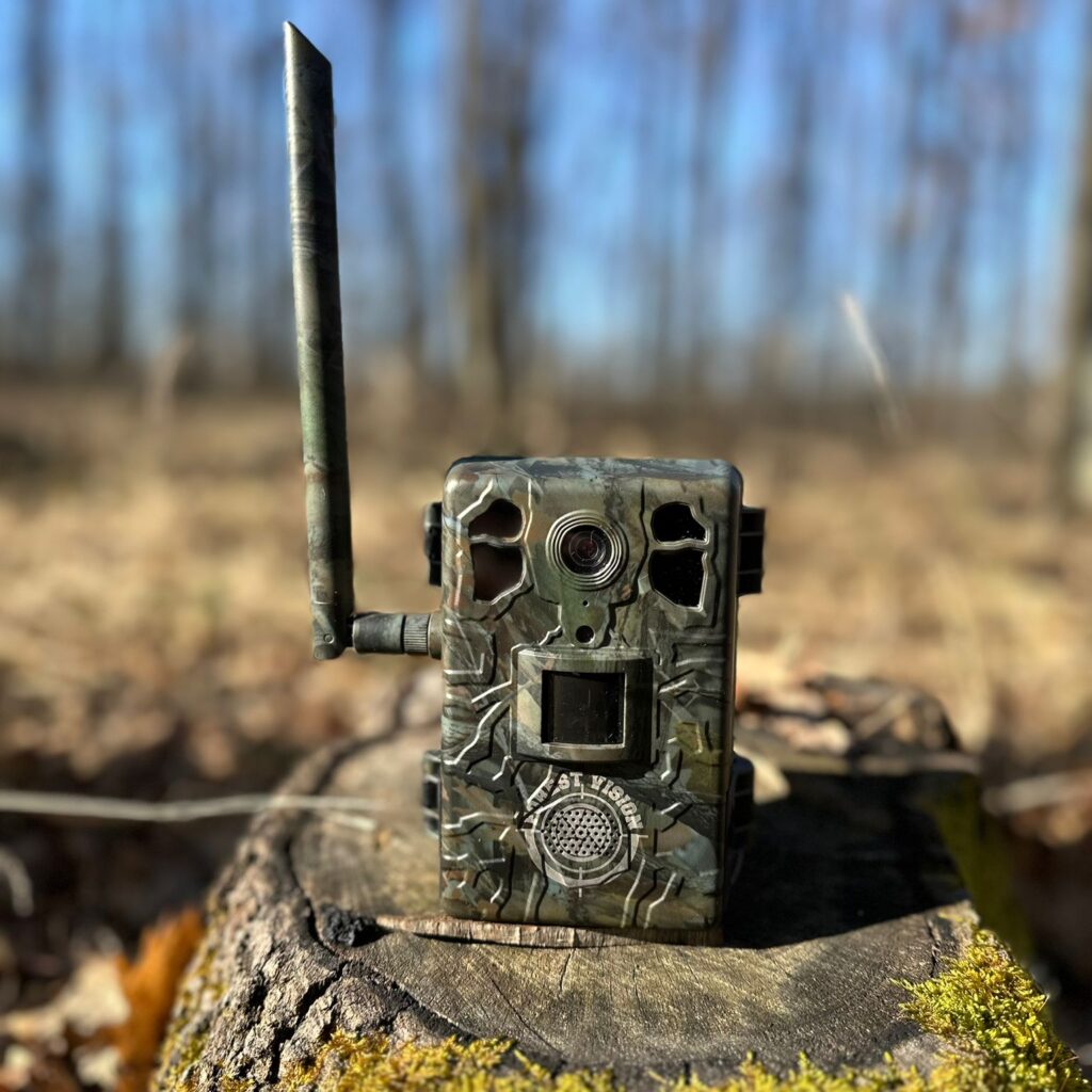 ForestVision Live C7