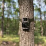 Camera Vanatoare ForestVision Alpha