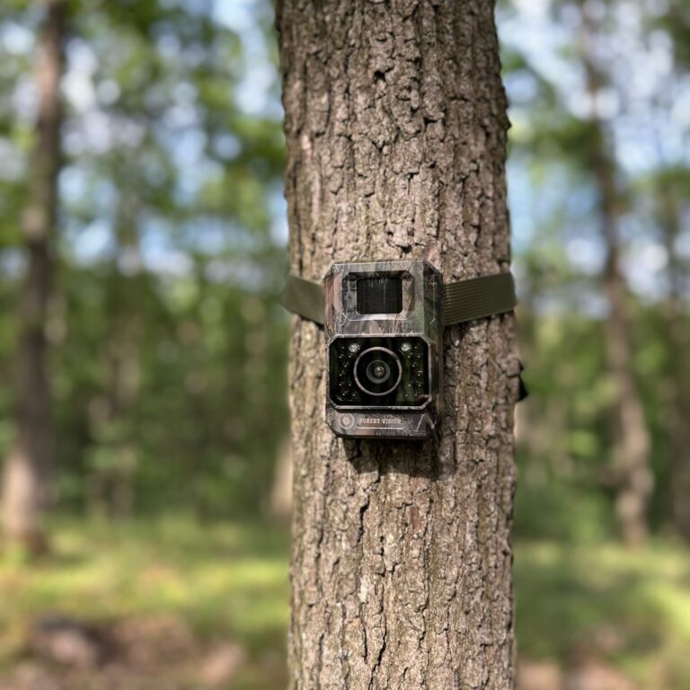 Camera Vanatoare ForestVision Alpha