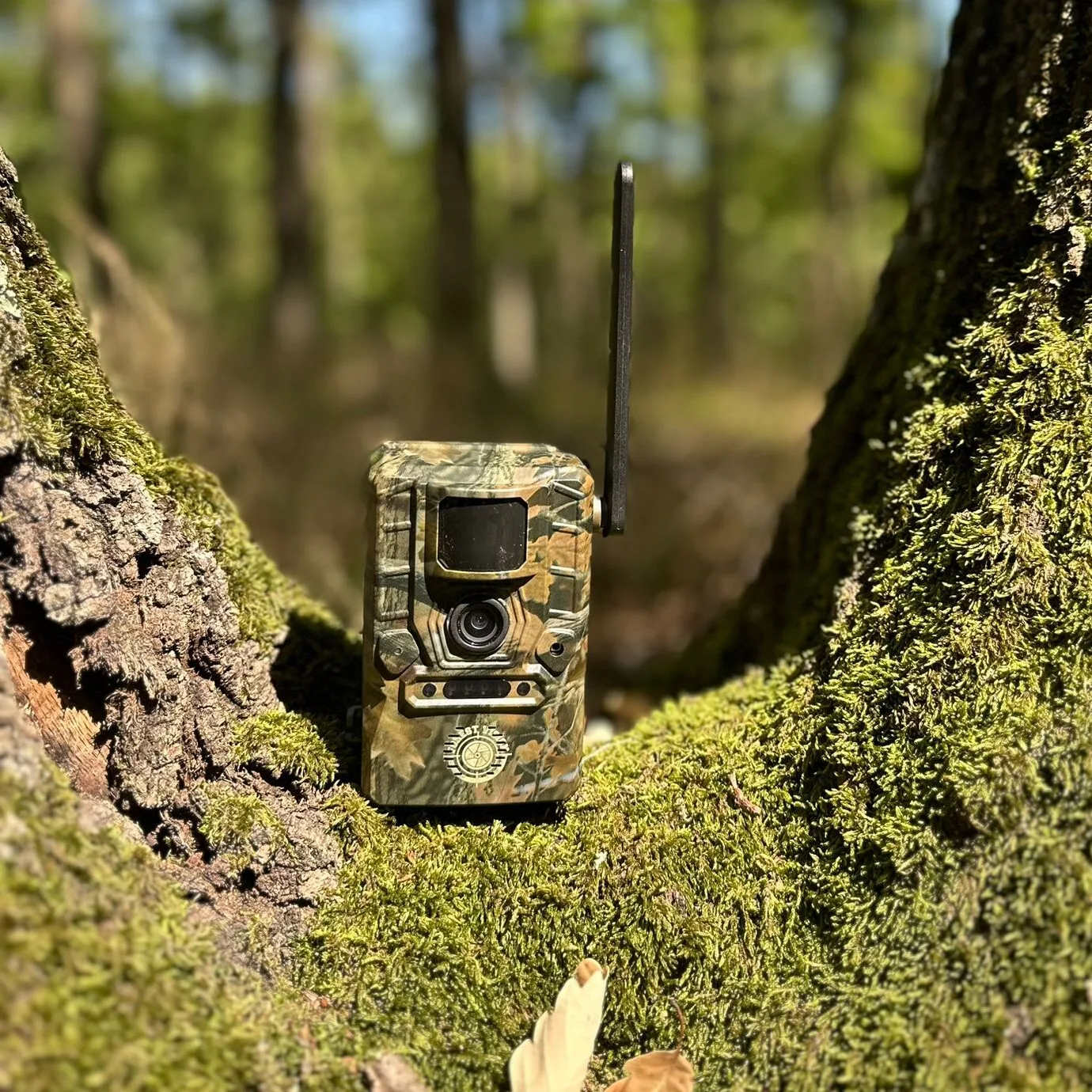 camera vanatoare ForestVision Live Pro