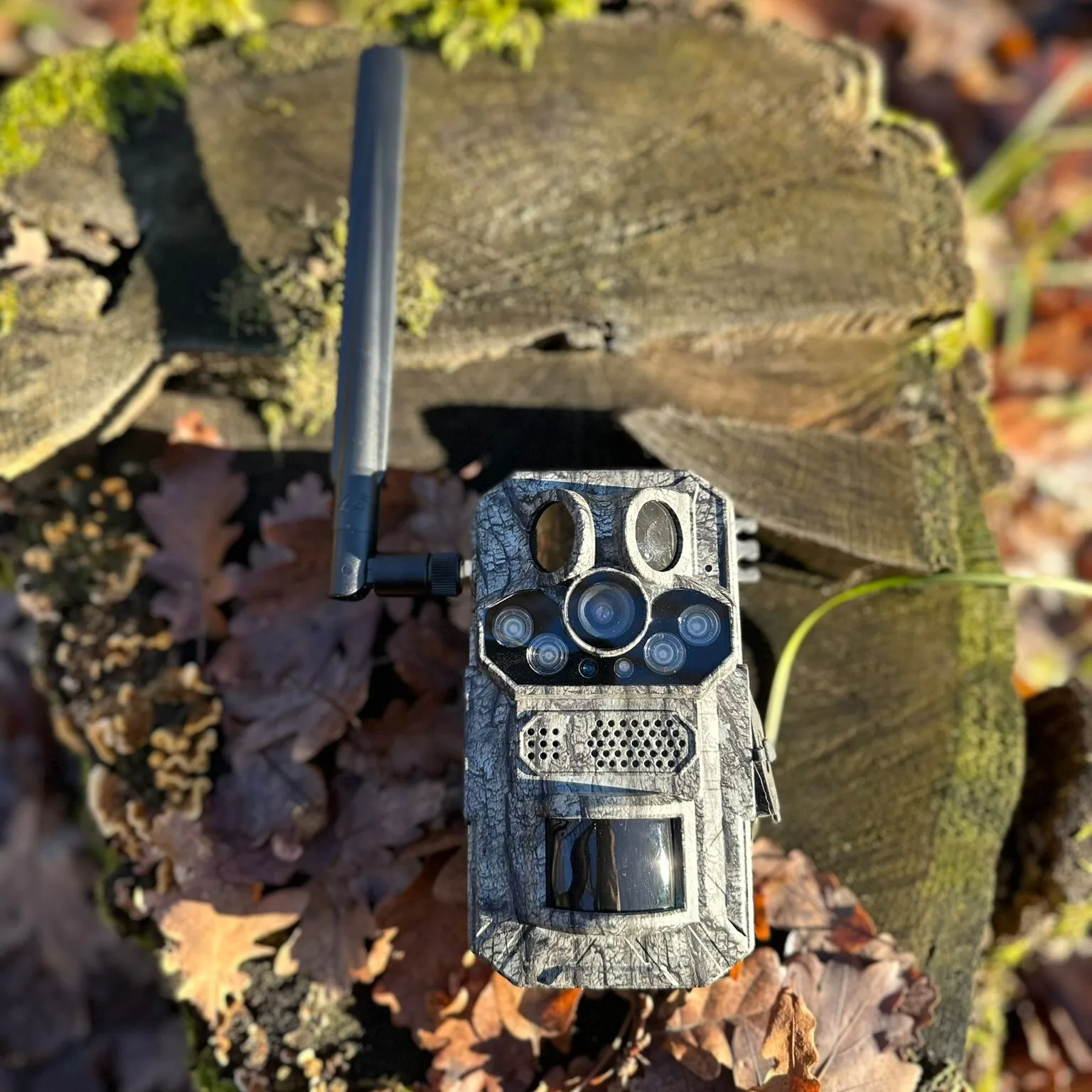 camera vanatoare ForestVision Live Pro 2