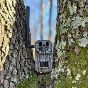 camera vanatoare ForestVision Live Pro 2