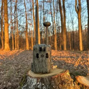 camera vanatoare ForestVision Live C8