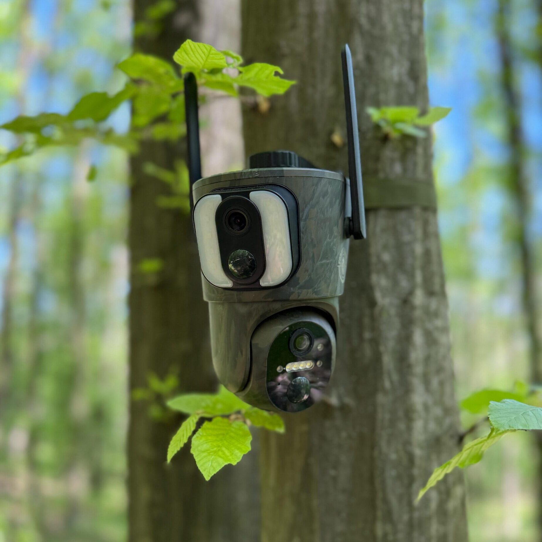 camer de vanatoare forestvision live c5
