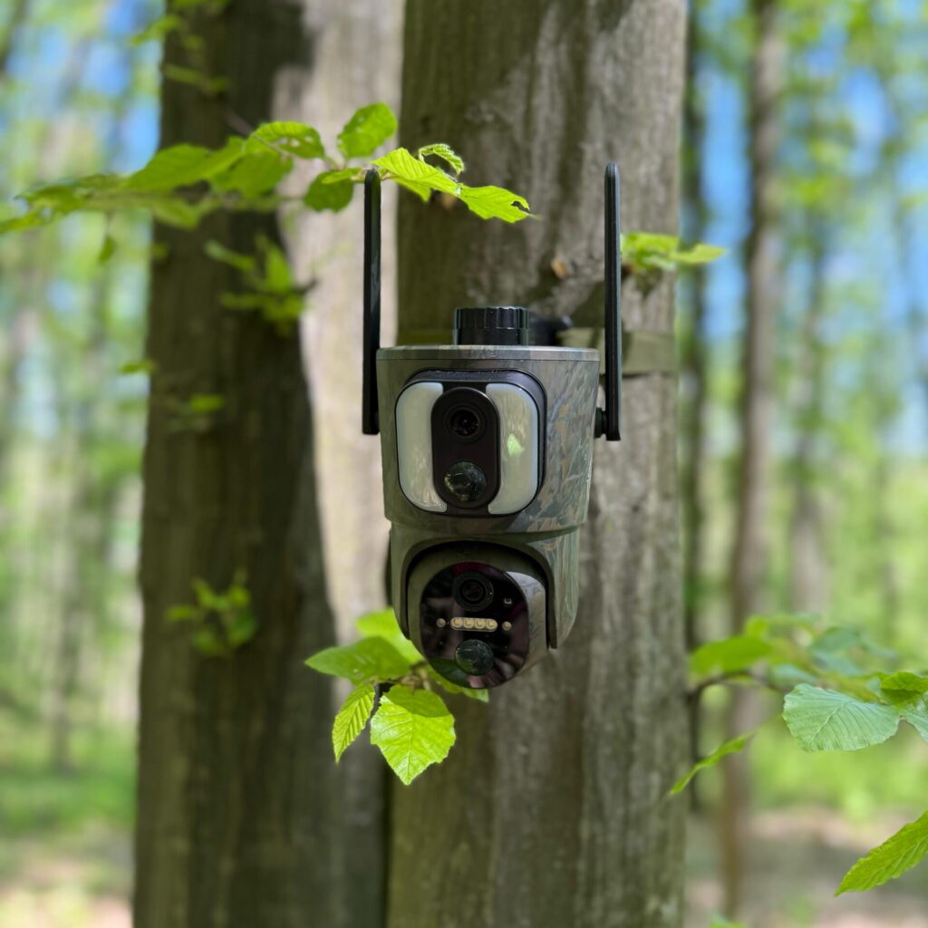 camer de vanatoare forestvision live c5