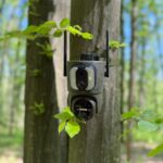 camer de vanatoare forestvision live c5