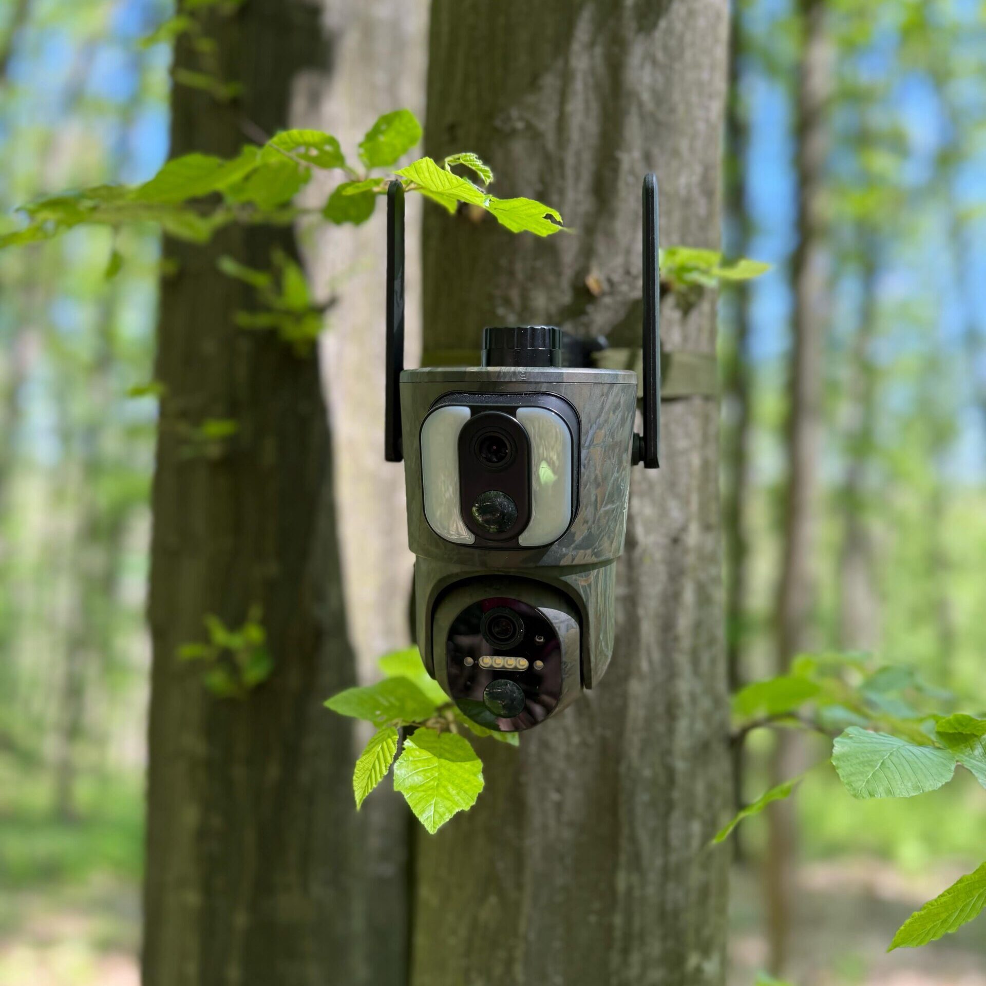 camer de vanatoare forestvision live c5