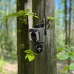 camer de vanatoare forestvision live c5