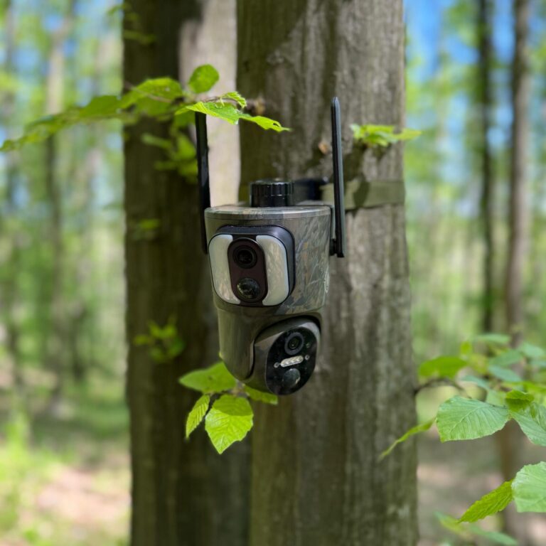 camer de vanatoare forestvision live c5