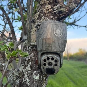 Forest Vision Live C2 2026